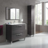 COLUMNA DE BANO KONCEPT GRIS CENIZA 182X30X25CM BENOTTI