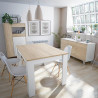 VITRINA 3P 142X77X33CM R CANADIAN BL ARTIK MOMI