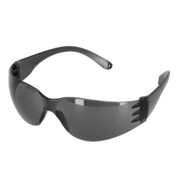 GAFAS DE PROTECCION NEGRO PAMACON