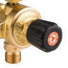 REDUCTOR DE PRESION GAS CGA600 CON MANOMETRO LP SET 200 OXYTURBO
