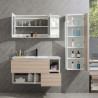 MUEBLE BANO SERIE GARDENIA GABINETE 100X46X54CM ESPEJO 100X50X15CM BENOTTI