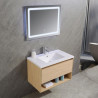 MUEBLE BANO SERIE PETUNIA GABINETE 80X46X54CM ESPEJO 80X60CM BENOTTI