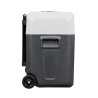 NEVERA PORTATIL AIRMEC 60W 50 LITROS