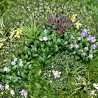 JARDIN VERTICAL 100X100CM SERIE LILA DONNA GARDEN