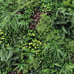 JARDIN VERTICAL 100X100CM SERIE BURDEOS DONNA GARDEN