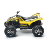 BUGGY RACING A CONTROL REMOTO 1 24 AMARILLO