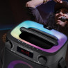 ALTAVOZ SERIE DANCE 65 BATERIA 300W LARRYHOUSE