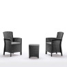 SET DE JARDIN 2 SILLONES MESA SERIE LIDO GRAPHITE BICA