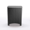 SET DE JARDIN 2 SILLONES MESA SERIE LIDO GRAPHITE BICA