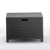 SET DE JARDIN 2 SILLONES MESA SERIE VENEZIA TERRACE GRAPHITE BICA