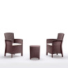SET DE JARDIN 2 SILLONES MESA SERIE LIDO BROWN BICA