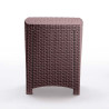 SET DE JARDIN 2 SILLONES MESA SERIE LIDO BROWN BICA