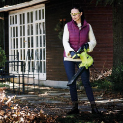 SOPLADOR ASPIRADOR 2800W 2 EN 1 RYOBI