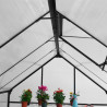 INVERNADERO DE ALUMINIO Y POLICARBONATO 250x190x207CM 48M2 AIRMEC