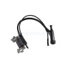 BOBINA ENCENDIDO MOTORIZACION LT168F 1 COMPATI 104 174 136 AM120030 TAKUMA