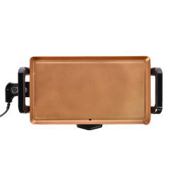 PLANCHA DE ASAR COPPER 2000W LARRYHOUSE