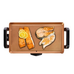 PLANCHA DE ASAR COPPER 2000W LARRYHOUSE