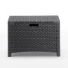 SET TERRAZA 2 SILLONES Y MESA ACABADO RATTAN SERIE NEBRASKA GRAPHITE BICA