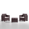 SET DE JARDIN 2 SILLONES MESA SERIE NEBRASKA BROWN BICA
