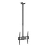SOPORTE TELEVISION DE TECHO 32 55 LARRYHOUSE