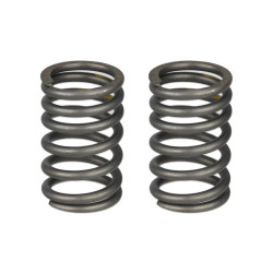 PACK MUELLE VALVULAS MOTOR KM186F TK113 TK194 TK171 TAKUMA