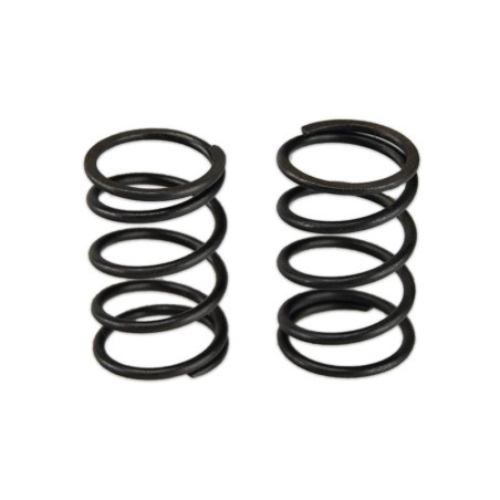 MUELLE VALVULAS MOTOR 168F PACK 2 PIEZAS TK104 TK174 TAKUMA