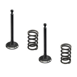 PACK VALVULAS ADMICION ESCAPE GENERADOR INSONORO TK153 TAKUMA