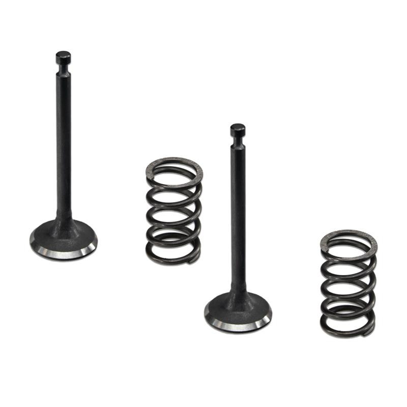PACK VALVULAS ADMICION ESCAPE GENERADOR INSONORO TK153 TAKUMA