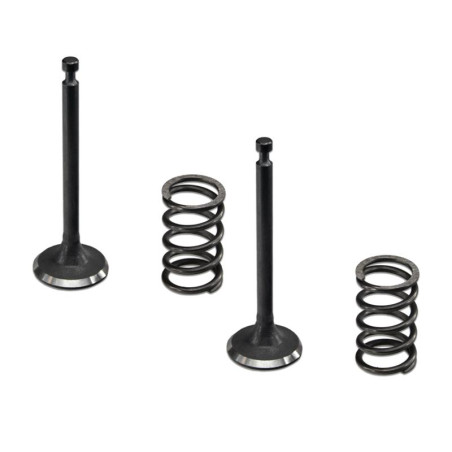 PACK VALVULAS ADMICION ESCAPE GENERADOR INSONORO TK153 TAKUMA