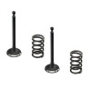 PACK VALVULAS ADMICION ESCAPE GENERADOR INSONORO TK153 TAKUMA