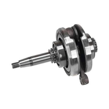 CIGUENAL CON BIELA GENERADOR INSONORO TK153