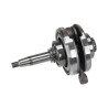 CIGUENAL CON BIELA GENERADOR INSONORO TK153