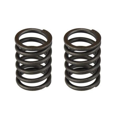 PACK ASIENTO CON MUELLE VALVULAS MOTOTIRZACION KM178F TAKUMA