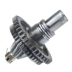 EJE CON PLATOS DENTADOS CAJA CAMBIOS MOTOCULTOR TK113 194 TAKUMA