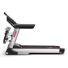 CINTA DE ENTRENAMIENTO 25HP SERIE 300 ATHANSPORT