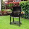 BARBACOA CARBON SERIE ABADES AIRMEC