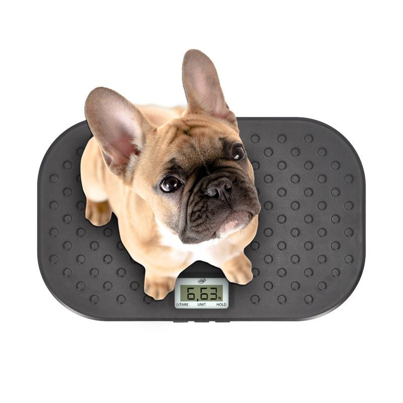BASCULA DIGITAL 40 KG PARA MASCOTAS LARRYHOUSE