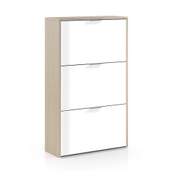 ZAPATERO 3P ABATIBLES 113X60X22CM ROBLE BBRILLO MOMI
