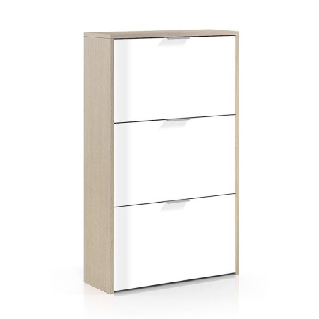 ZAPATERO 3P ABATIBLES 113X60X22CM ROBLE BBRILLO MOMI