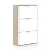 ZAPATERO 3P ABATIBLES 113X60X22CM ROBLE BBRILLO MOMI
