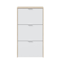 ZAPATERO 3P ABATIBLES 113X60X22CM ROBLE BBRILLO MOMI