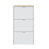 ZAPATERO 3P ABATIBLES 113X60X22CM ROBLE BBRILLO MOMI