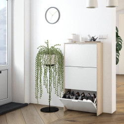 ZAPATERO 3P ABATIBLES 113X60X22CM ROBLE BBRILLO MOMI
