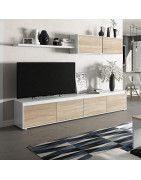 Muebles TV